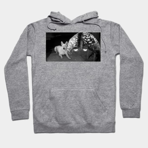 The Brain from Planet Arous (1957) Hoodie by Scum & Villainy